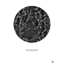Saint-Bonnot — Custom Satellite View