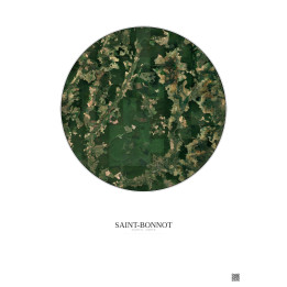 Saint-Bonnot — Custom Satellite View
