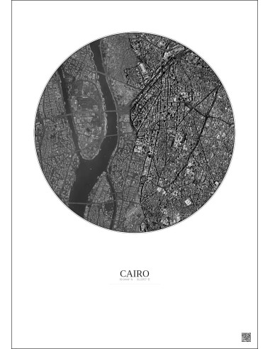 Cairo Satellite View Poster 2.5km B&W | Gravura – Light background