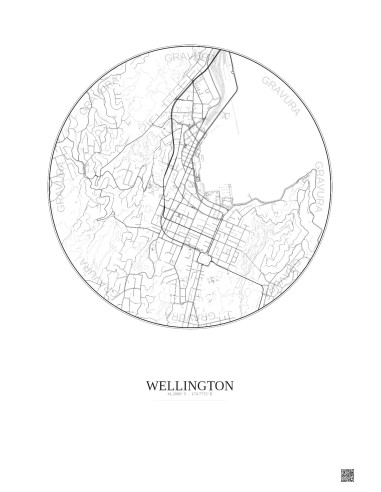 Affiche Wellington – Poster carte de ville 2.5km | Gravura – Fond clair