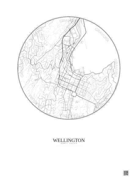 Affiche Wellington – Poster carte de ville 2.5km | Gravura – Fond clair