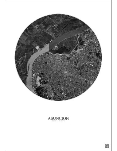Asuncion Satellite View Poster 6km B&W | Gravura – Light background