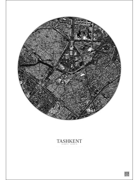 Tashkent Satellite View Poster 2.5km B&W | Gravura – Light background