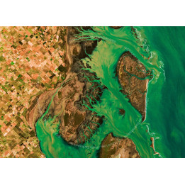 Argentina — Premium Satellite Poster · Gravura