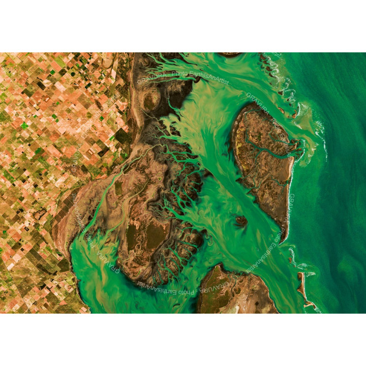 Argentina — Premium Satellite Poster · Gravura