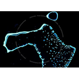 Maldives — Satellite Photography Poster · Gravura