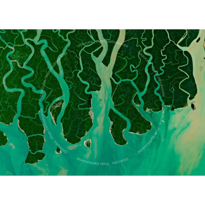 TENTACLES — Satellite Photography Poster · Gravura