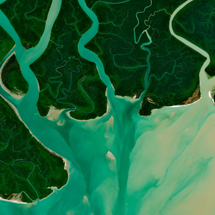 TENTACLES — Satellite Photography Poster · Gravura