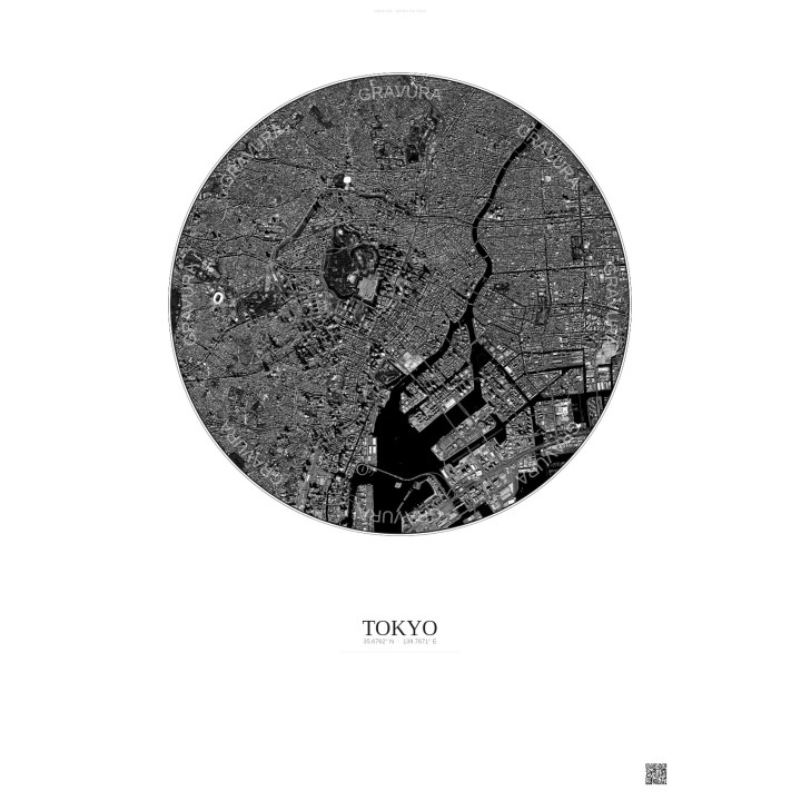 Tokyo Satellite View Poster 6km B&W | Gravura – Light background