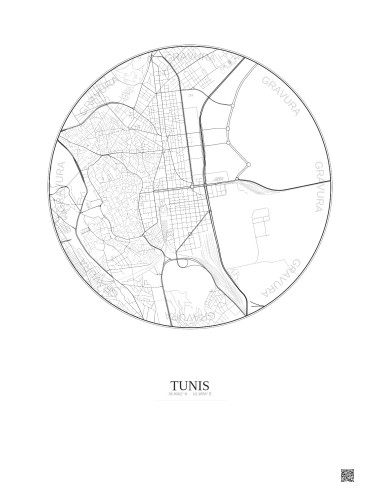 Tunis City Map Poster 2.5km | Gravura – Light background