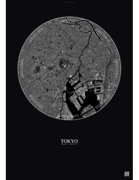 Tokyo Satellite View Poster 10km B&W | Gravura – Dark background