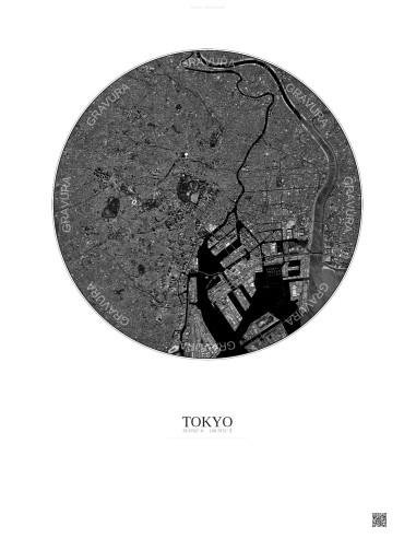 Tokyo Satellite View Poster 10km B&W | Gravura – Light background
