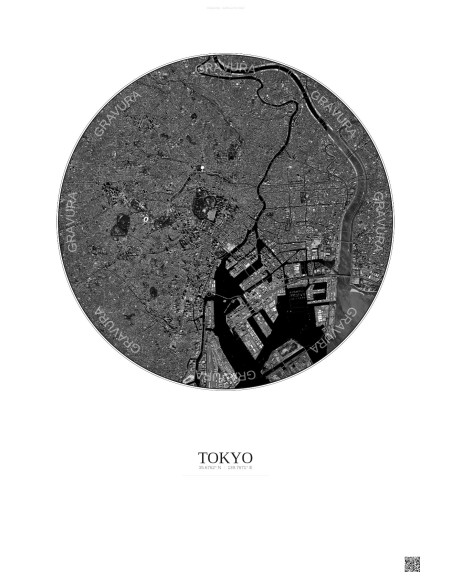 Tokyo Satellite View Poster 10km B&W | Gravura – Light background