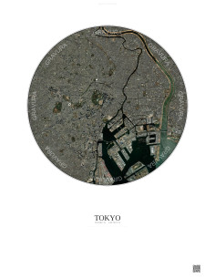 Tokyo Satellite View Poster 10km Color | Gravura – Light background