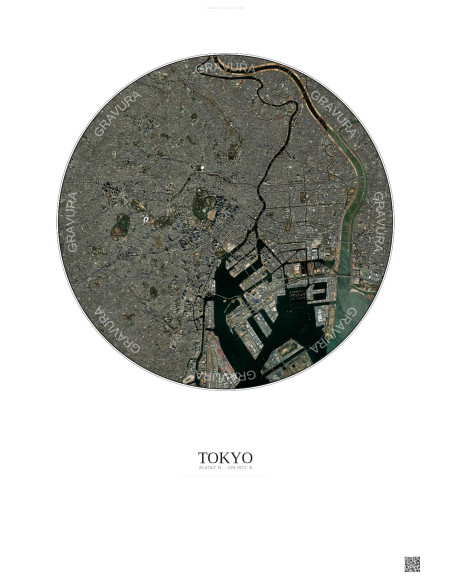 Affiche Tokyo – Poster vue satellite 10km Couleur | Gravura – Fond clair