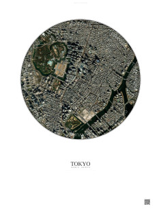 Tokyo Satellite View Poster 2.5km Color | Gravura – Light background
