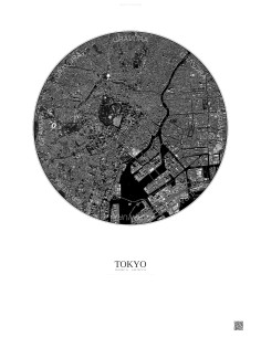Tokyo Satellite View Poster 6km B&W | Gravura – Light background