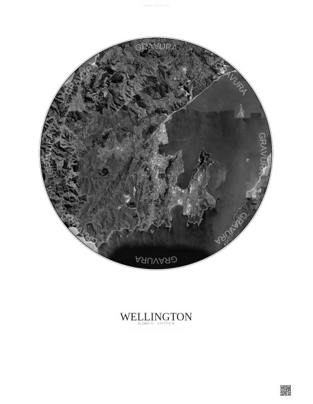 Affiche Wellington – Poster vue satellite 10km N&B | Gravura – Fond clair