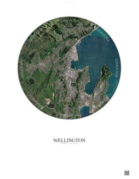Affiche Wellington – Poster vue satellite 6km Couleur | Gravura – Fond clair