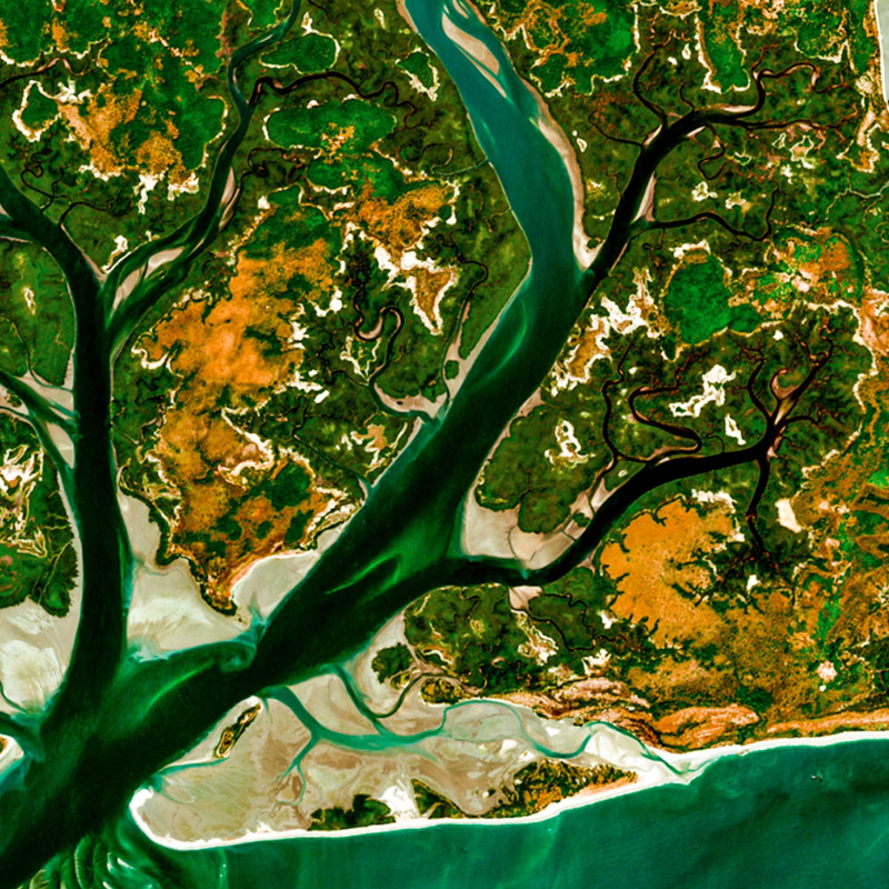 Îles de Guinée-Bissau — Poster Satellitaire · Gravura