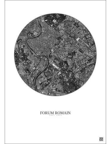 Forum Romain Satellite View Poster 2.5km B&W | Gravura – Light background