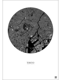 Tokyo Satellite View Poster 6km B&W | Gravura – Light background 2