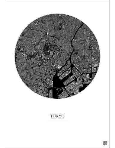 Tokyo Satellite View Poster 6km B&W | Gravura – Light background