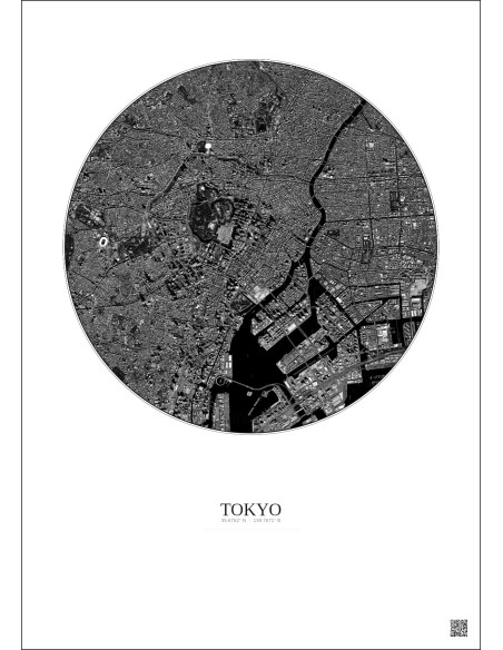 Tokyo Satellite View Poster 6km B&W | Gravura – Light background