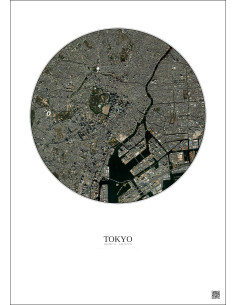Tokyo Satellite View Poster 6km Color | Gravura – Light background 2