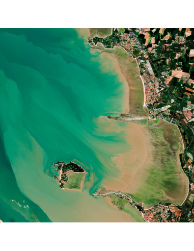 Île d'Aix — Poster Satellitaire · Gravura