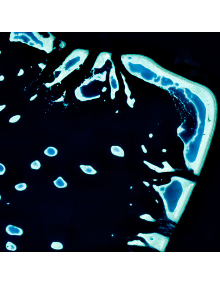 Les Maldives — Poster Satellitaire · Gravura