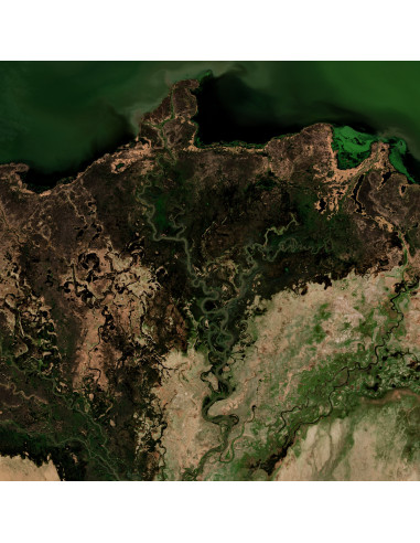 Mongolie — Poster Satellitaire · Gravura