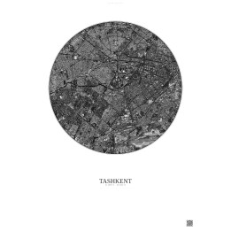 Tashkent Satellite View Poster 6km B&W | Gravura – Light background