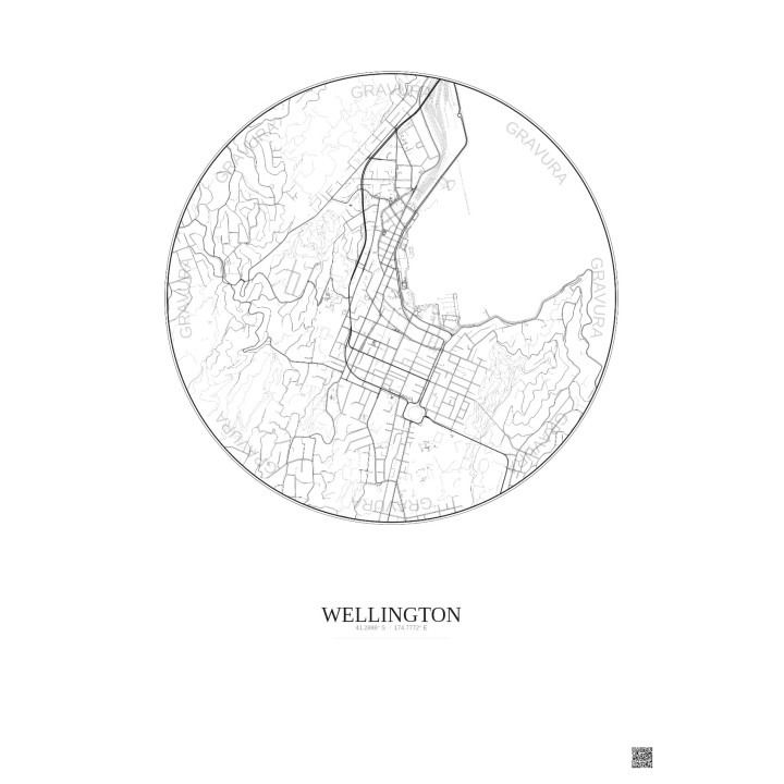 Affiche Wellington – Poster carte de ville 2.5km | Gravura – Fond clair