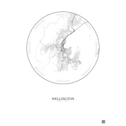 Affiche Wellington – Poster carte de ville 10km | Gravura – Fond clair