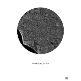 Forum Romain Satellite View Poster 30km B&W | Gravura – Light background