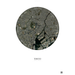 Affiche Tokyo – Poster vue satellite 6km Couleur | Gravura – Fond clair