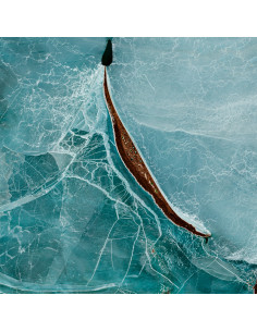 Lake Balkhash — Satellite Photography Poster · Gravura 2