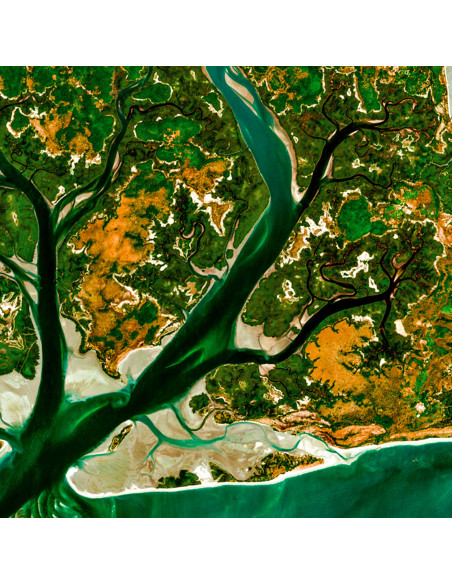 Îles de Guinée-Bissau — Poster Satellitaire · Gravura