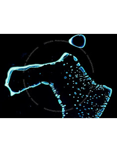 Maldives — Satellite Photography Poster · Gravura