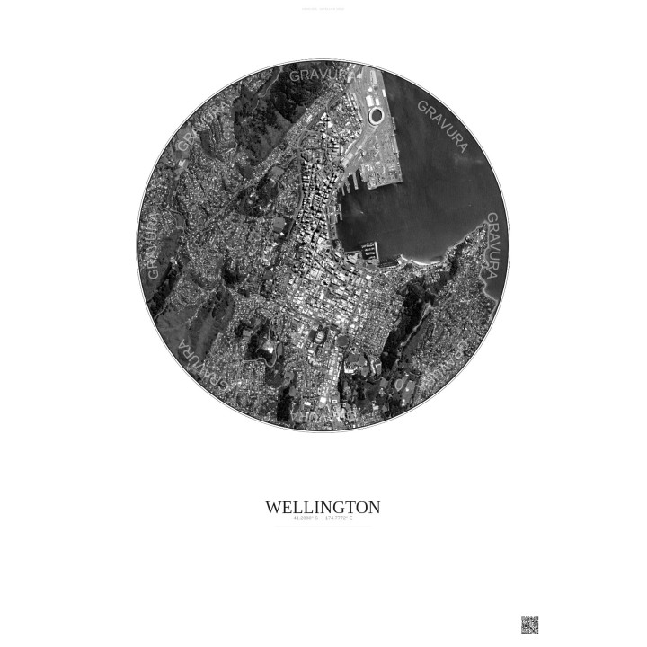Wellington Satellite View Poster 2.5km B&W | Gravura – Light background