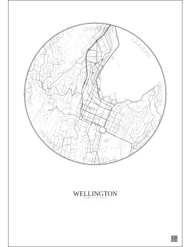 Wellington City Map Poster 2.5km | Gravura – Light background